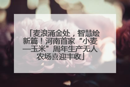 麦浪涌金处，智慧绘新篇！河南首家“小麦—玉米”周年生产无人农场喜迎丰收