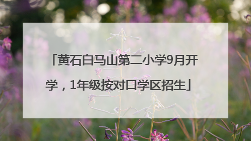 黄石白马山第二小学9月开学，1年级按对口学区招生