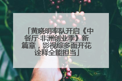 黄晓明率队开启《中餐厅·非洲创业季》新篇章，影视综多面开花诠释全能担当