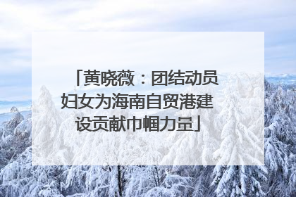 黄晓薇：团结动员妇女为海南自贸港建设贡献巾帼力量