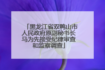 黑龙江省双鸭山市人民政府原副秘书长马为先接受纪律审查和监察调查