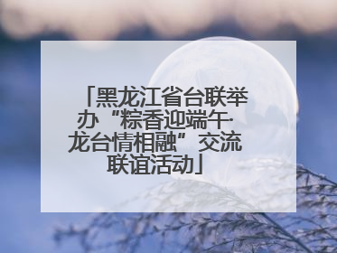 黑龙江省台联举办“粽香迎端午·龙台情相融”交流联谊活动