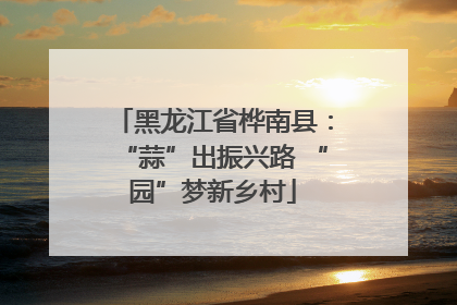 黑龙江省桦南县：“蒜”出振兴路 “园”梦新乡村