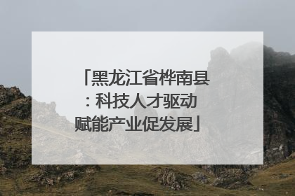 黑龙江省桦南县：科技人才驱动 赋能产业促发展