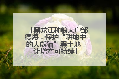 黑龙江种粮大户邹德海：保护“耕地中的大熊猫”黑土地，让增产可持续