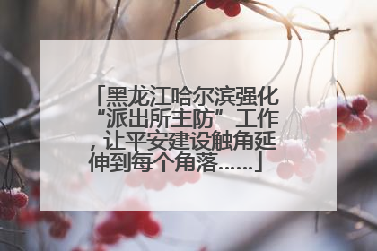 黑龙江哈尔滨强化“派出所主防”工作，让平安建设触角延伸到每个角落……