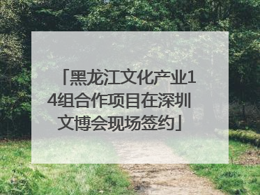 黑龙江文化产业14组合作项目在深圳文博会现场签约