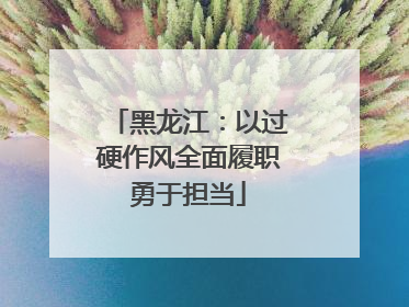 黑龙江：以过硬作风全面履职勇于担当
