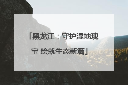 黑龙江：守护湿地瑰宝 绘就生态新篇