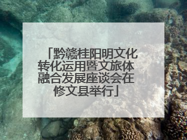 黔赣桂阳明文化转化运用暨文旅体融合发展座谈会在修文县举行