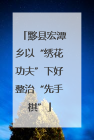 黟县宏潭乡以“绣花功夫”下好整治“先手棋”