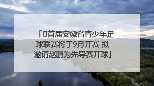 ﻿首届安徽省青少年足球联赛将于9月开赛 拟邀请赵鹏为先导赛开球