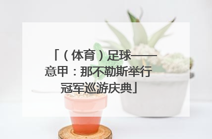 （体育）足球——意甲：那不勒斯举行冠军巡游庆典