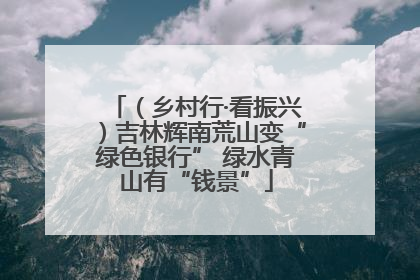 （乡村行·看振兴）吉林辉南荒山变“绿色银行” 绿水青山有“钱景”