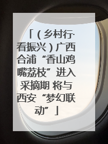 （乡村行·看振兴）广西合浦“香山鸡嘴荔枝”进入采摘期 将与西安“梦幻联动”