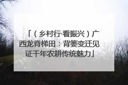 （乡村行·看振兴）广西龙脊梯田：背篓变迁见证千年农耕传统魅力