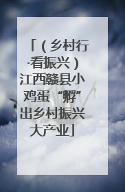 （乡村行·看振兴）江西赣县小鸡蛋“孵”出乡村振兴大产业