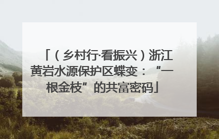 （乡村行·看振兴）浙江黄岩水源保护区蝶变：“一根金枝”的共富密码