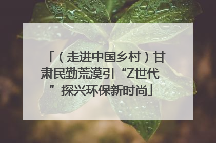 （走进中国乡村）甘肃民勤荒漠引“Z世代”探兴环保新时尚