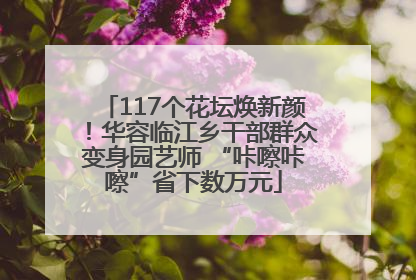 117个花坛焕新颜！华容临江乡干部群众变身园艺师 “咔嚓咔嚓”省下数万元