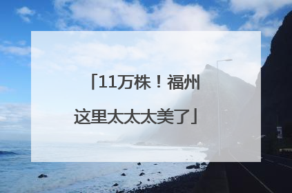 11万株！福州这里太太太美了