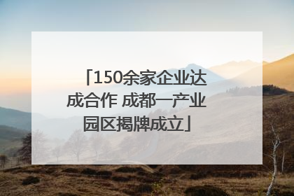 150余家企业达成合作 成都一产业园区揭牌成立