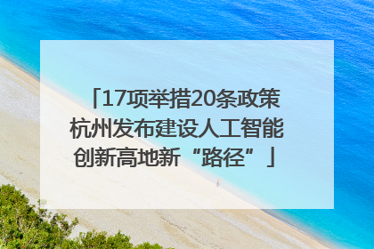 17项举措20条政策 杭州发布建设人工智能创新高地新“路径”