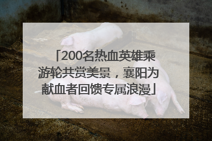 200名热血英雄乘游轮共赏美景，襄阳为献血者回馈专属浪漫