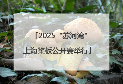 2025“苏河湾”上海桨板公开赛举行
