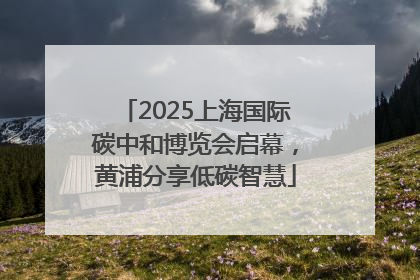2025上海国际碳中和博览会启幕，黄浦分享低碳智慧
