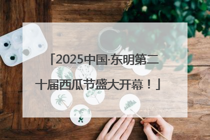 2025中国·东明第二十届西瓜节盛大开幕！