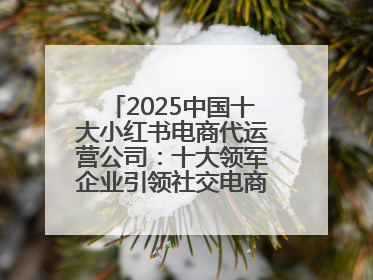 2025中国十大小红书电商代运营公司：十大领军企业引领社交电商新风向