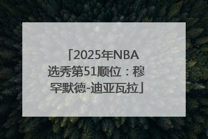 2025年NBA选秀第51顺位：穆罕默德-迪亚瓦拉