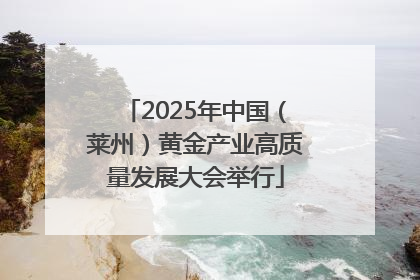 2025年中国（莱州）黄金产业高质量发展大会举行