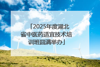 2025年度湖北省中医药适宜技术培训班圆满举办