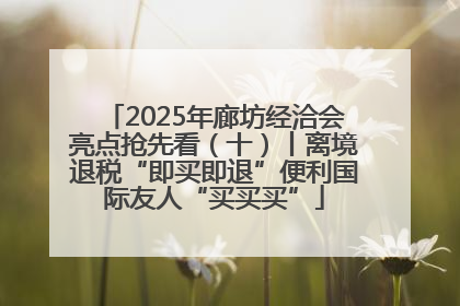 2025年廊坊经洽会亮点抢先看（十）丨离境退税“即买即退”便利国际友人“买买买”