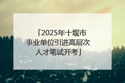 2025年十堰市事业单位引进高层次人才笔试开考