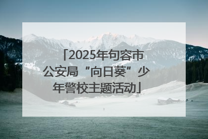 2025年句容市公安局“向日葵”少年警校主题活动