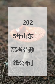 2025年山东高考分数线公布