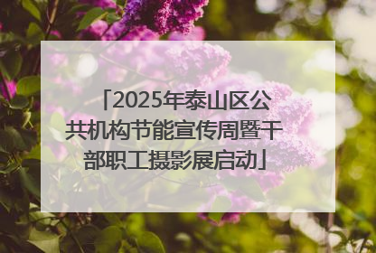 2025年泰山区公共机构节能宣传周暨干部职工摄影展启动