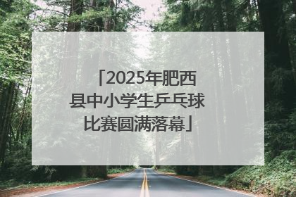 2025年肥西县中小学生乒乓球比赛圆满落幕
