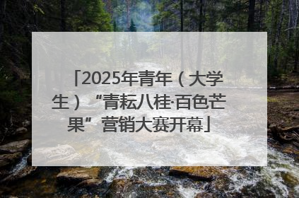 2025年青年（大学生）“青耘八桂·百色芒果”营销大赛开幕