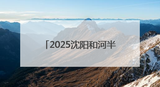 2025沈阳和河半程马拉松激情开跑
