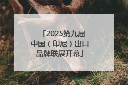 2025第九届中国（印尼）出口品牌联展开幕