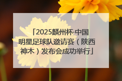 2025麟州杯·中国明星足球队邀请赛（陕西神木）发布会成功举行