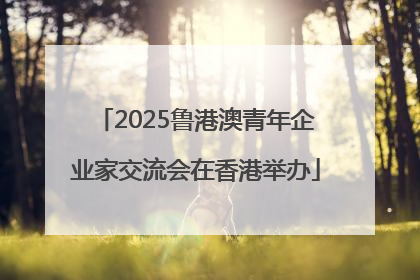 2025鲁港澳青年企业家交流会在香港举办