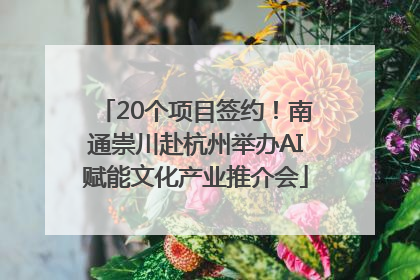 20个项目签约！南通崇川赴杭州举办AI赋能文化产业推介会