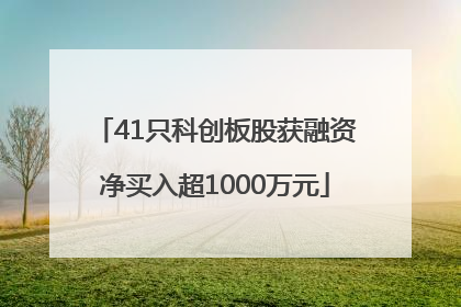 41只科创板股获融资净买入超1000万元
