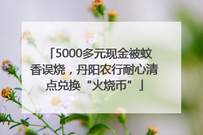 5000多元现金被蚊香误烧，丹阳农行耐心清点兑换“火烧币”