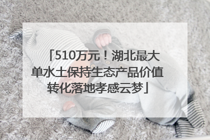 510万元！湖北最大单水土保持生态产品价值转化落地孝感云梦